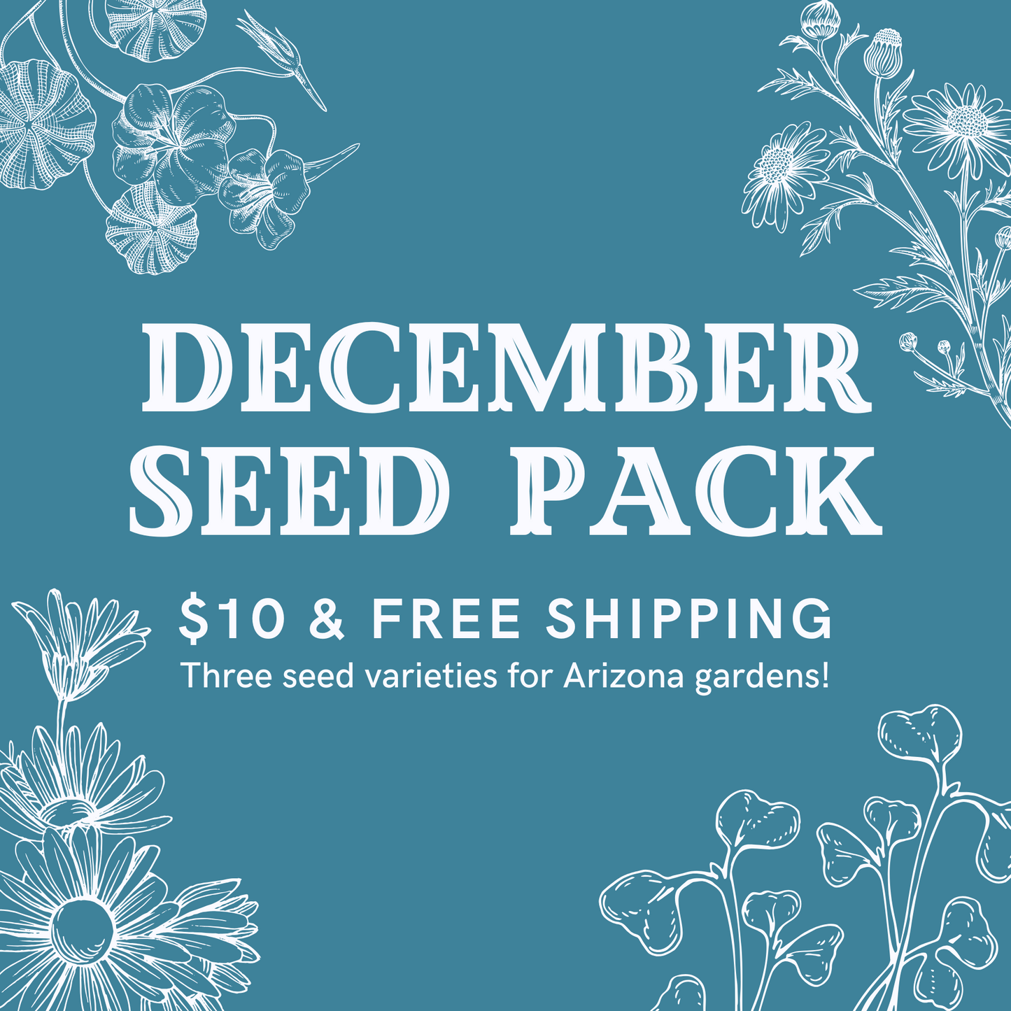 December Seed Pack
