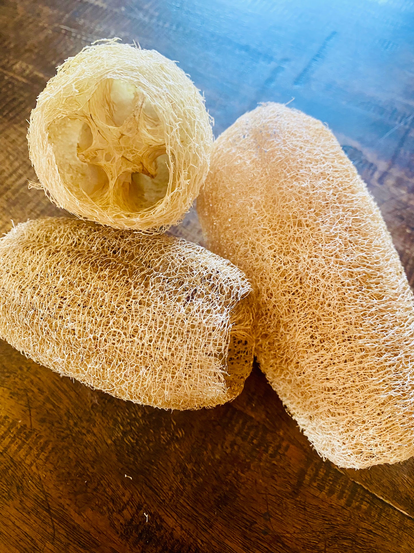 Luffa Seed Packet