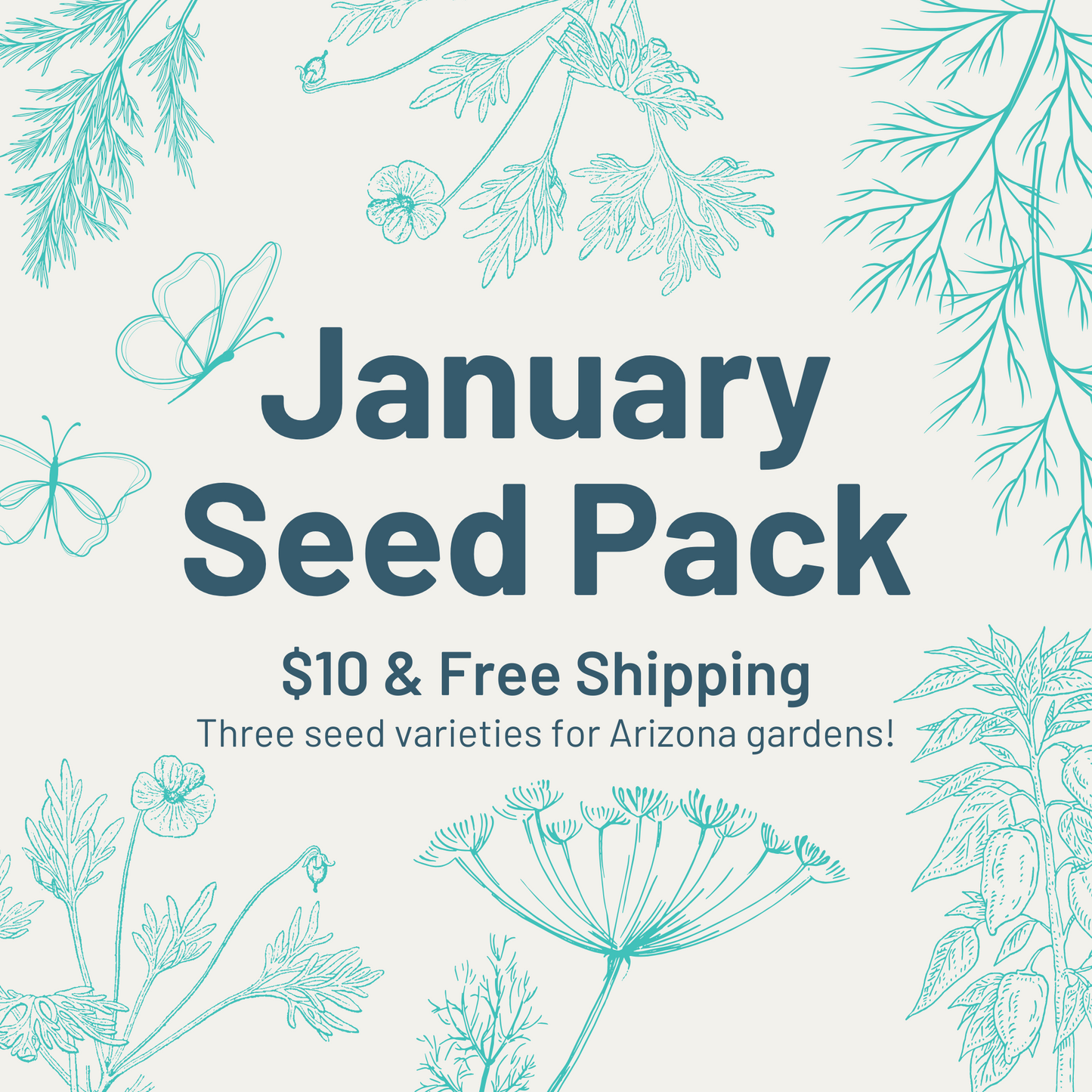 January Seed Pack