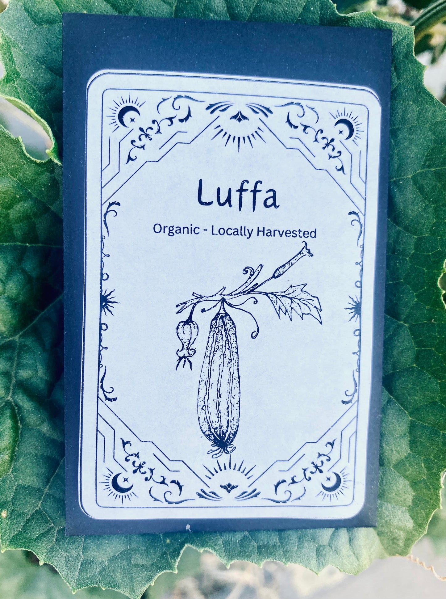 Luffa Seed Packet