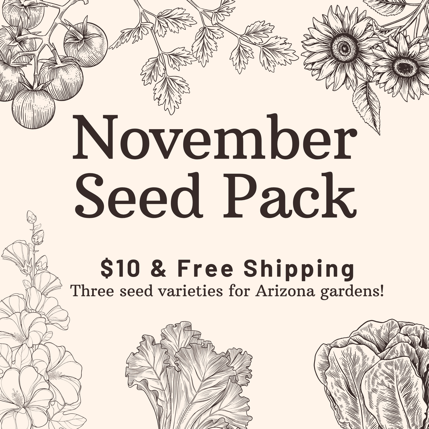 November Seed Pack