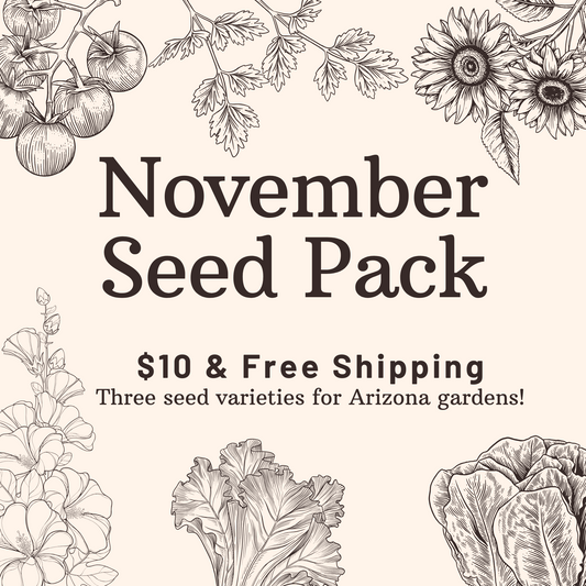 November Seed Pack