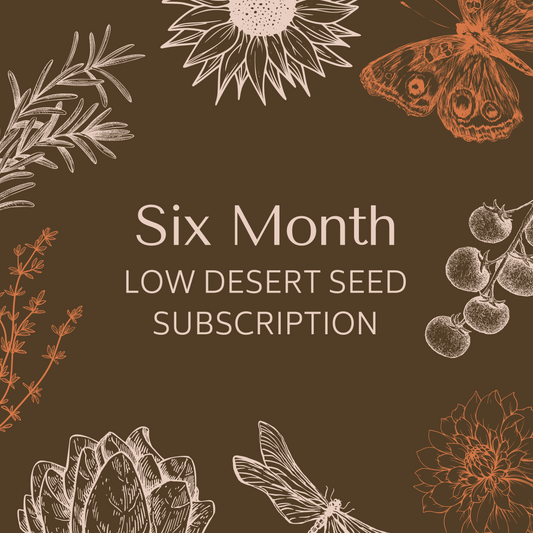 6 Month Subscription