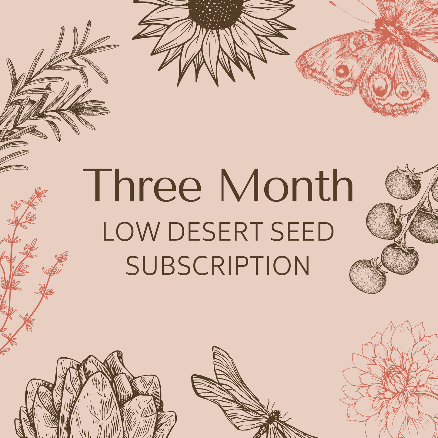 3 Month Subscription