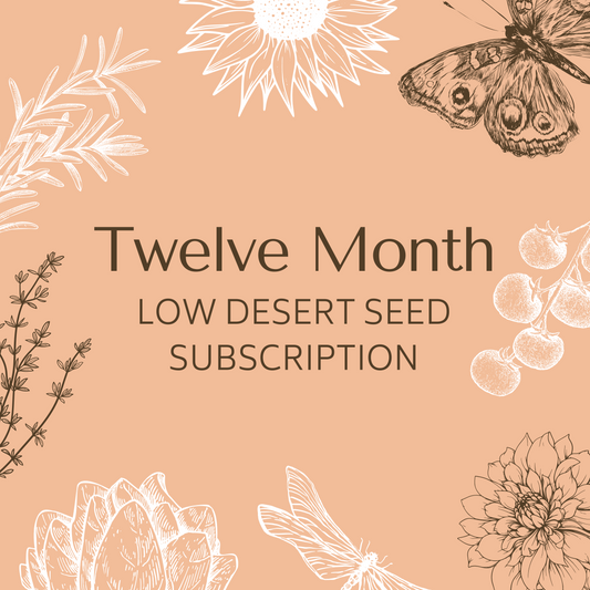 12 Month Subscription